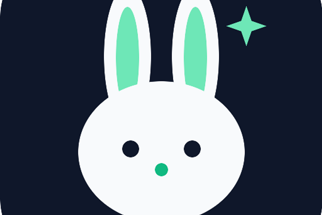 Space Bunny