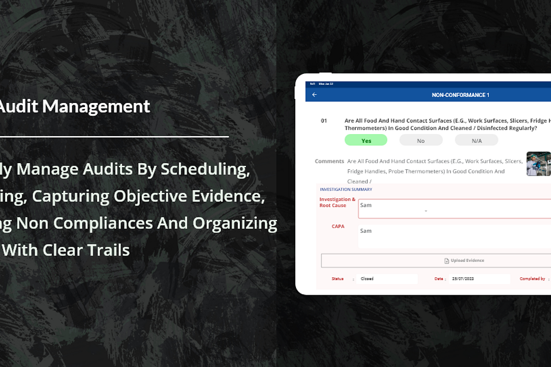 Smart Audit 